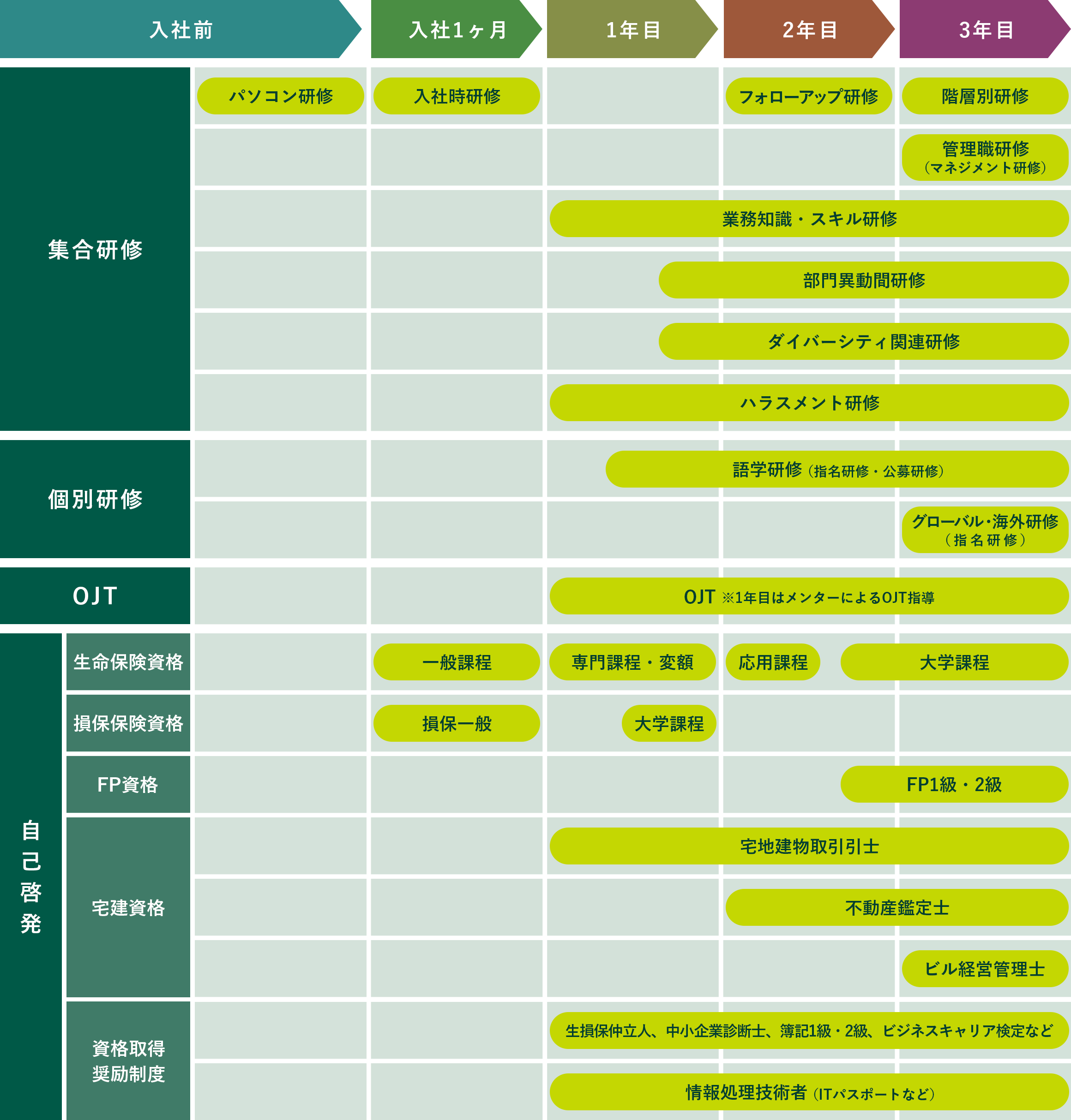 教育研修制度階層ごとのステップ